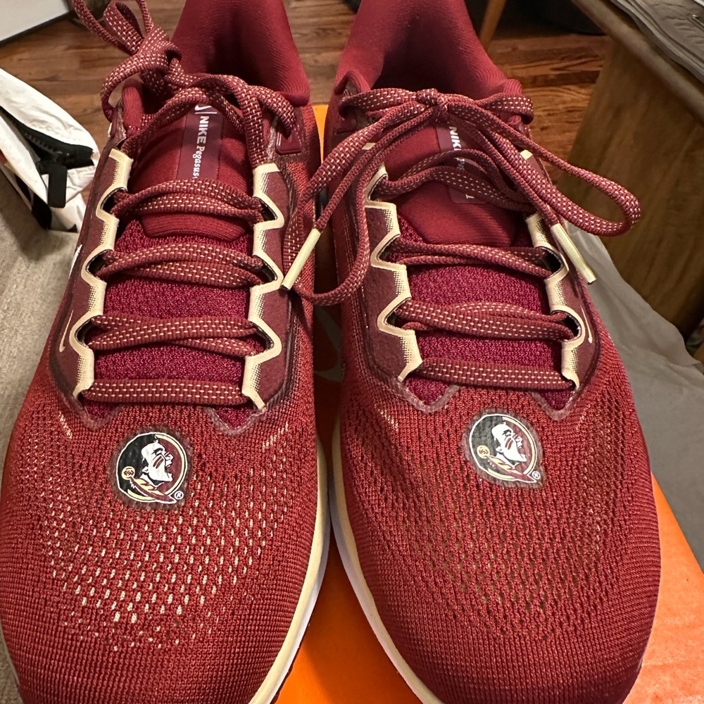 NEW Florida State Seminole Nike Zoom Pegasus 42 running shoe Brand New w/ Box - Picture 3 of 5